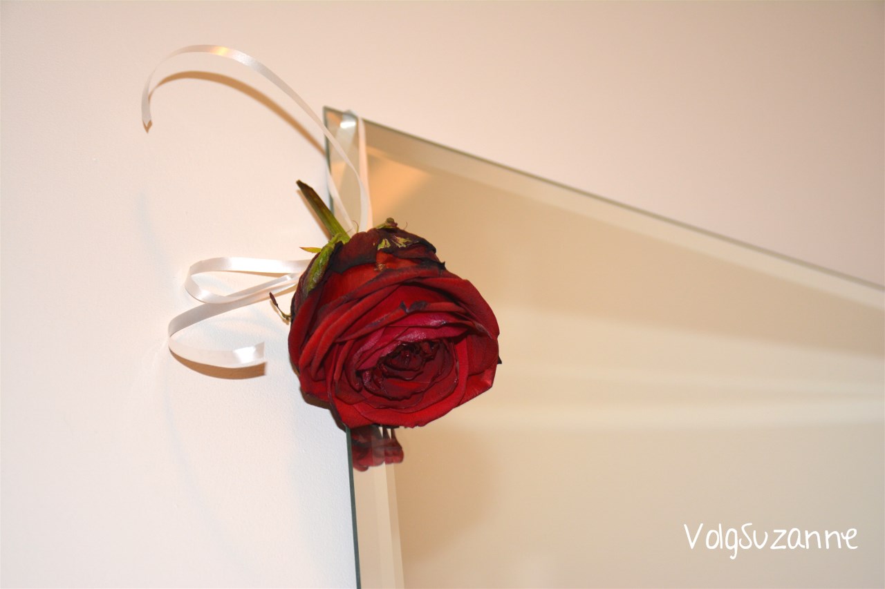 Verbazingwekkend Hoe droog je een roos? | Volg Suzanne TT-62