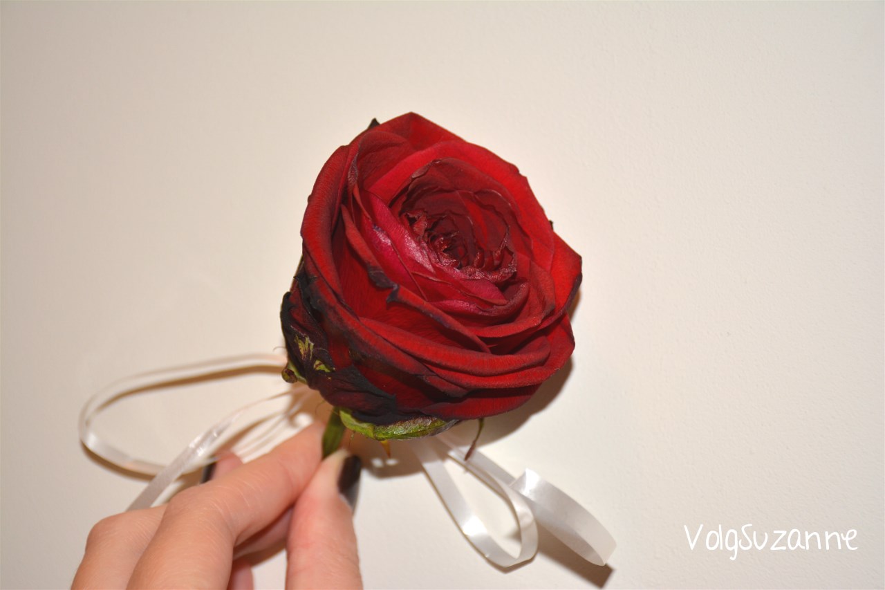 Wonderlijk Hoe droog je een roos? | Volg Suzanne VH-24